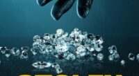 Stolen: Heist of the Century